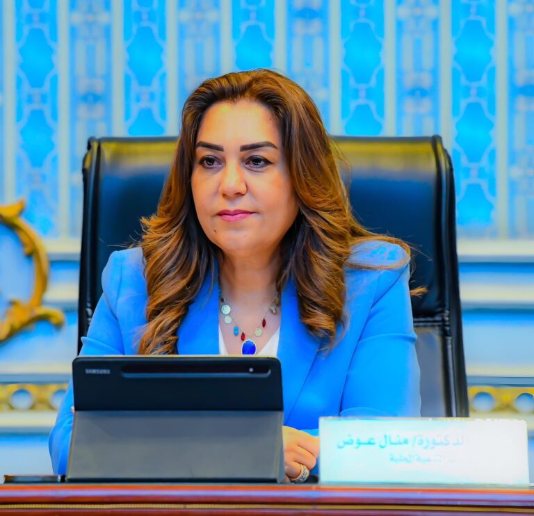 التنمية المحلية : إنشاء أول حضانة متكاملة لتجميع السيارات المضبوطة والمخصصة للتهكين بمحافظة القليوبية